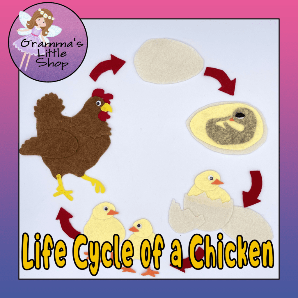 Interactive Science Lessons For Kids