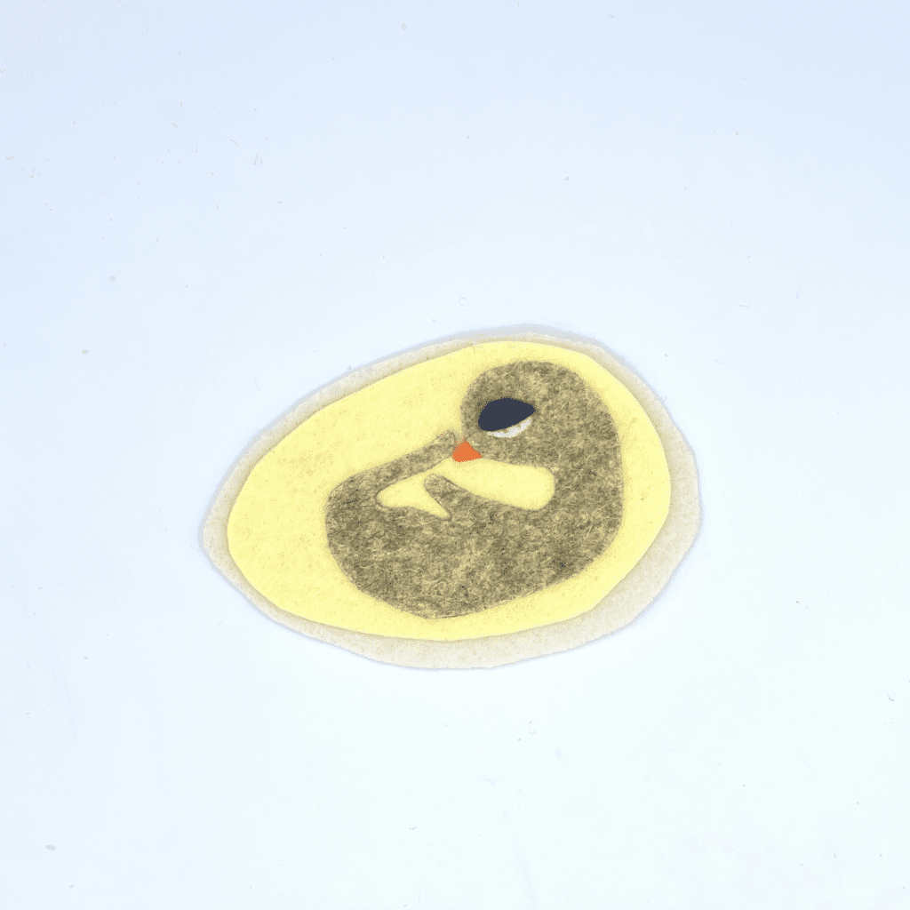Chicken life cycle felt board pattern perfect for interactive science