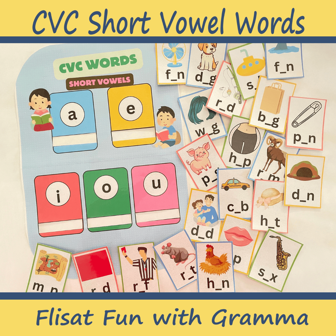 CVC Short Vowel Words Flisat Insert