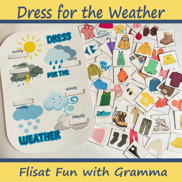 Dress for the Weather Flisat Inset