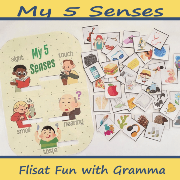 My Five Senses Flisat Insert