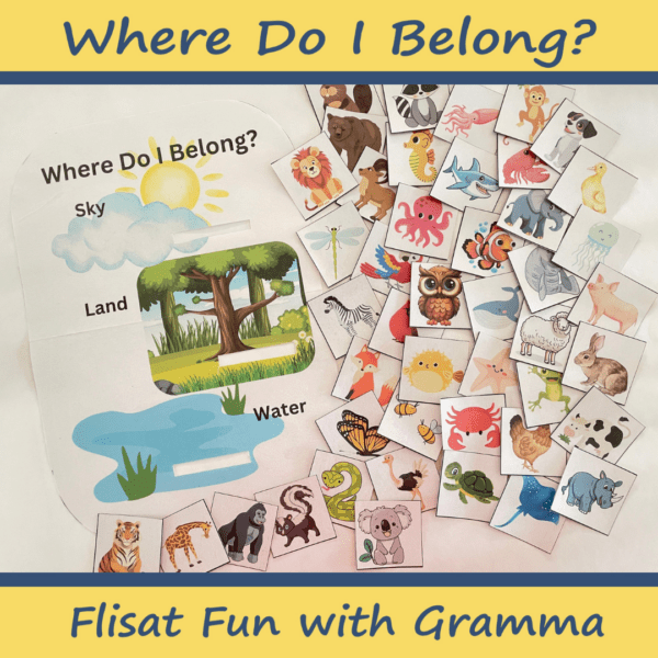 Where Do I Belong Flisat Insert