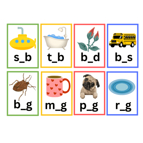 CVC Short Vowel Words Flisat Insert - Image 3