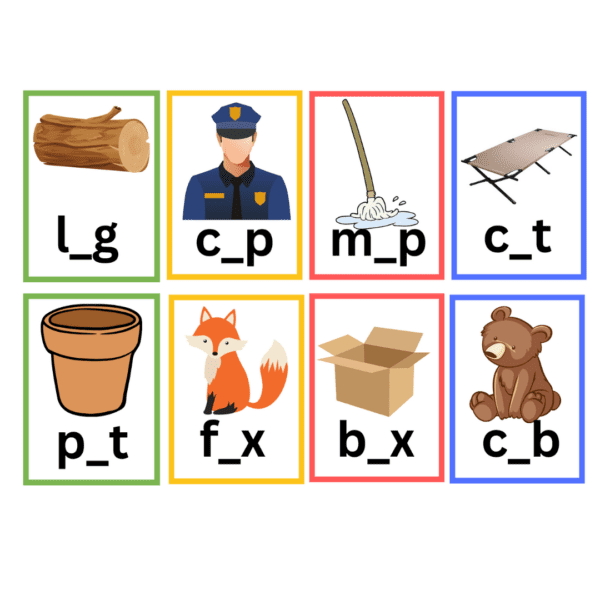 CVC Short Vowel Words Flisat Insert - Image 4