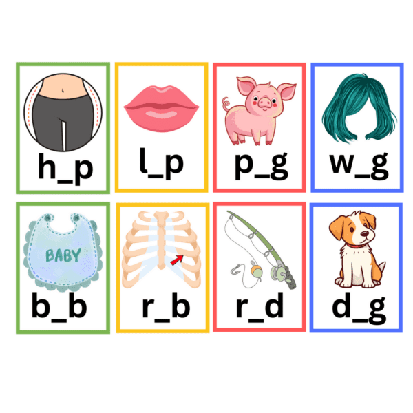 CVC Short Vowel Words Flisat Insert - Image 5