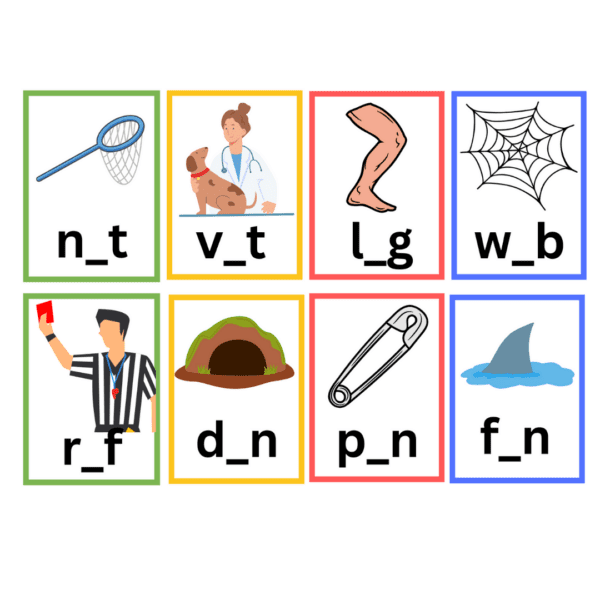 CVC Short Vowel Words Flisat Insert - Image 6