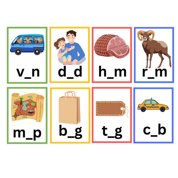 CVC Short Vowel Words Flisat Insert - Image 8