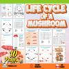 Lifecycle of a Mushroom Worksheets