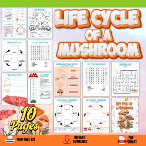 Lifecycle of a Mushroom Worksheets