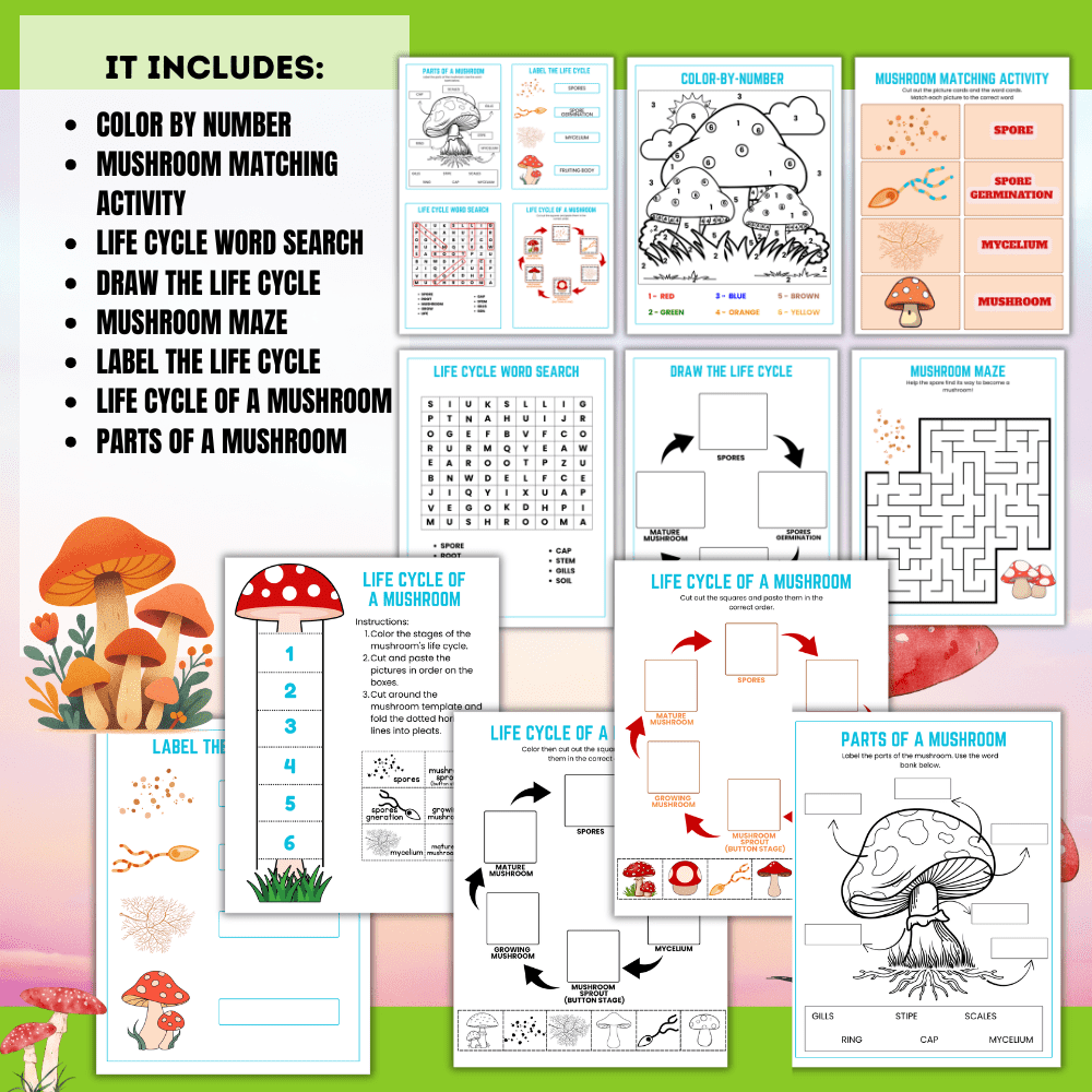 officialstore@teachinginthehome.com-2